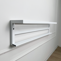 Durable Wall Shoe Rack