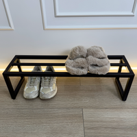 Contemporary Metal Shoe Shelf