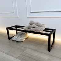 Contemporary Metal Shoe Shelf