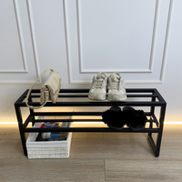Sleek 2-Tier Black Shoe Rack