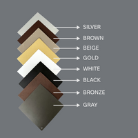 Contemporary Metal Shoe Shelf